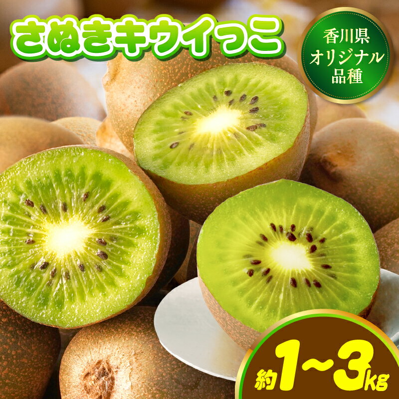 【ふるさと納税】【選べる内容量】香川県オリジナルキウイフルーツ「さぬきキウイっこ」約1～3kg【香川県共通返礼品】 キウイ キウイフルーツ 果物 フルーツ 青果 青果物 さぬきキウイっこ 果実 贈答 贈り物 ギフト 甘い 糖度が高い 季節のフルーツ 旬 おすすめ 香川県