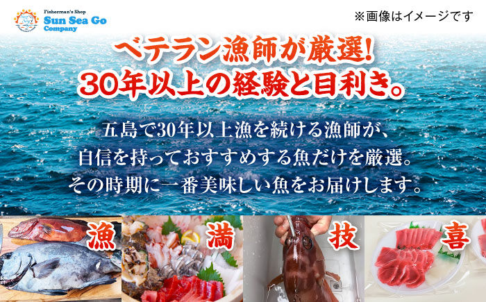 【全12回定期便】漁師の極み刺身パック（粋）1皿 五島市/Sun Sea Go Company 魚 おまかせ お任せ 鮮魚 五島列島 [PGL020]