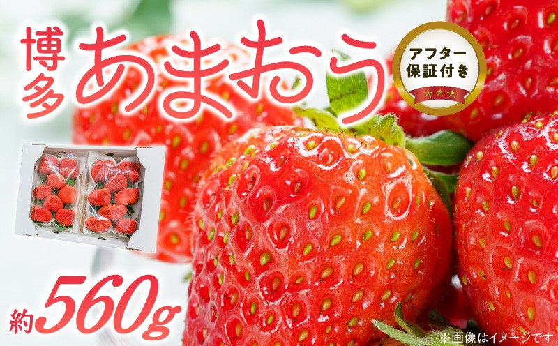 
                  福岡県産あまおういちご　約280g以上×2パック（大粒）【12月〜2月発送】_いちご あまおう 約280g 以上 × 2パック 約560g 大粒 果物 フルーツ みずみずしい ジューシー 甘み 酸味 濃厚 ストロベリー パフェ ショートケーキ パンケーキ スムージー サンドイッチ ジャム お菓子作り 福岡県産 久留米市 お取り寄せ 送料無料_Fi054
                