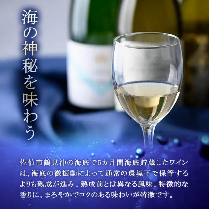 海底貯蔵 白ワイン MARIREINE ロネア コート デュ ローヌ レジョンド デ トック 2024 (750ml・1本) ワイン 白ワイン フランス 酒 パーティー マリレーヌ 海底蔵の眠り酒 熟