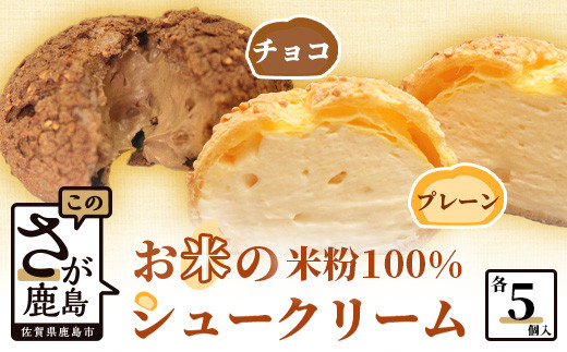 ホワイトデー対応可 米粉のクッキーシューと米粉のチョコクッキーシュー10個詰め合わせ B-480 米粉 チョコレート シュークリーム 贈り物 贈答 プレゼント スイーツ チョコ お菓子 デザート バレンタインデー ホワイトデー セット プレーン クリーム