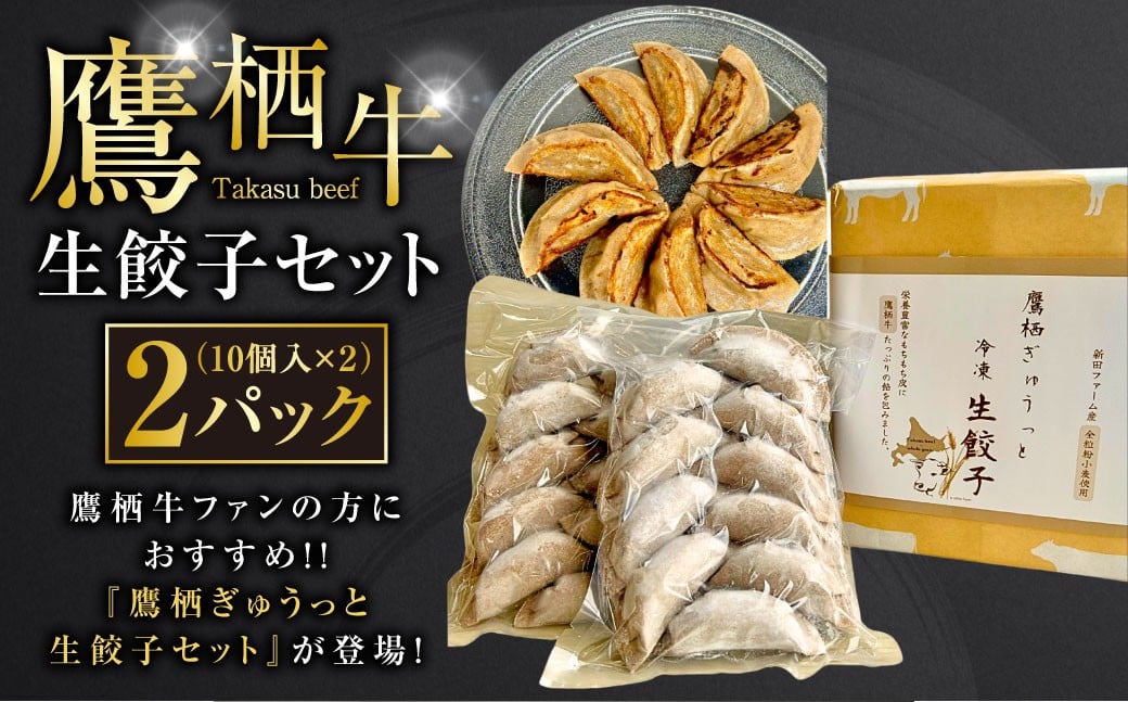 
            鷹栖牛 生餃子セット たかすぎゅうっと生餃子 10個入り×2パック 合計20個 北海道 鷹栖町 新田ファーム 牛肉 冷凍餃子 生餃子 牛肉 冷凍
          