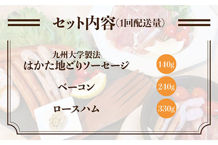 【 全12回 定期便 】  糸島 の 陽光 ハム セット 2 《糸島》 【志摩スモークハウス】 [AOA013]