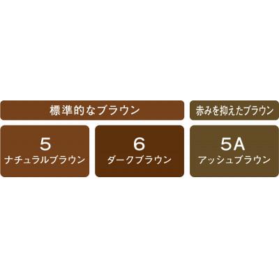 ふるさと納税 稲沢市 ダリヤ　サロン　ド　プロ　ヘアマニキュア・スピーディ《ナチュラルブラウン》3個セット |  | 03