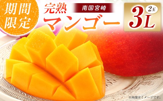 【令和9年発送 先行予約】完熟マンゴー 3L×2玉（フルーツ マンゴー 完熟マンゴー アップルマンゴー 果物 くだもの 先行受付 2027 令和9年 宮崎）