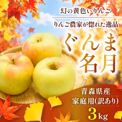 【26年10月から順次発送】糖度13度以上保証!ぐんま名月約3kg(6～18玉)訳あり 青森県産【配送不可地域：沖縄県】