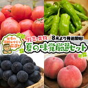 【ふるさと納税】夏の味覚（野菜・果物）厳選セット【2025年8月より発送開始】田舎の頑固おやじが厳選！