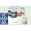 【ふるさと納税】【2024年4月末より順次発送】25年保存（非常食）サバイバルフーズ　大缶バラエティセット（60食相当）　【缶詰・非常食】