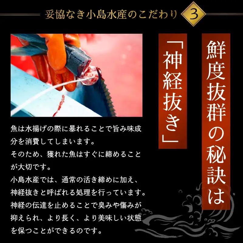 乙女 ブリ 半身 カマ付き 800g以上 冷凍 約 3 ～ 5人前 ks043