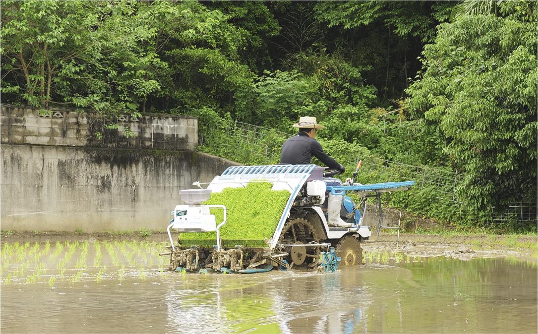 令和5年産 元気つくし 5kg