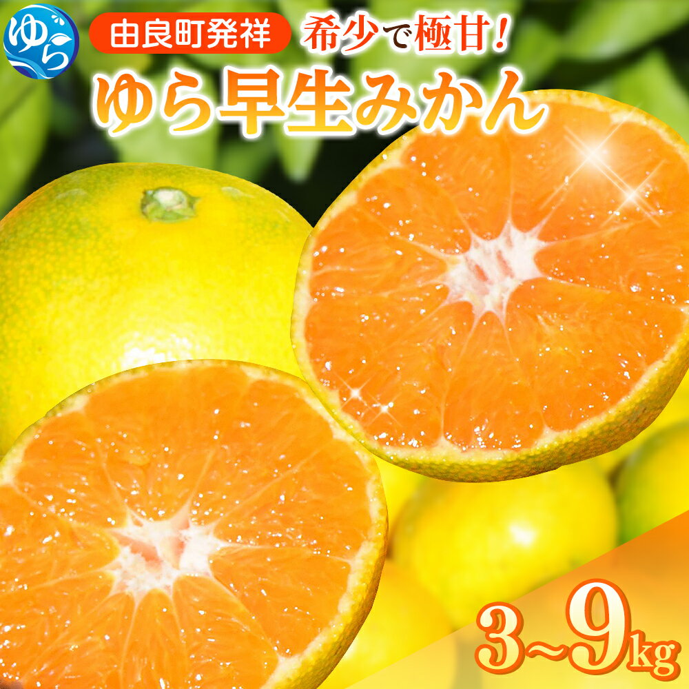 【ふるさと納税】 【2026年秋・発送分！】 早生 ゆら早生 みかん / 3kg 4.5kg 9kg 極早生 温州みかん 和歌山 由良町 甘い 農薬削減 ※2026年10月中旬～順次発送 //meisan //best