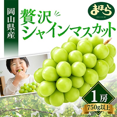 【2026年度発送分】早起き農家の直送便　上出来シャインマスカット1房【配送不可地域：離島・北海道・沖縄県】