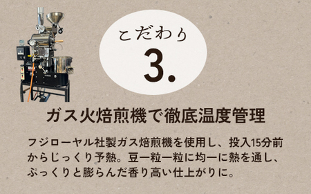 自家焙煎珈琲 ドリップコーヒー 10個 | コーヒー ドリップ 珈琲 