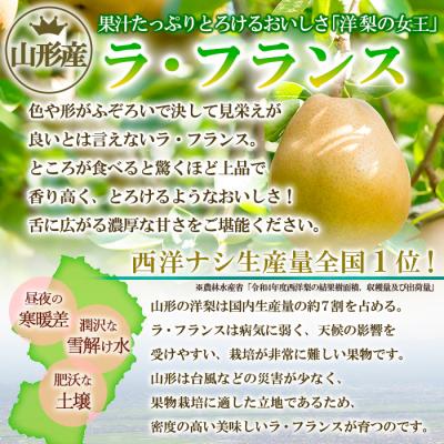 ふるさと納税 山形市 【贈答用】大玉ラフランス 特秀品 約5kg FZ22-936 |  | 01