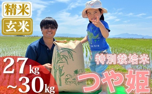 
                  【ecofarmすがわら】特別栽培米つや姫27kg～30kg※【精米】または【玄米】選択可（令和8年産新米予約）
                