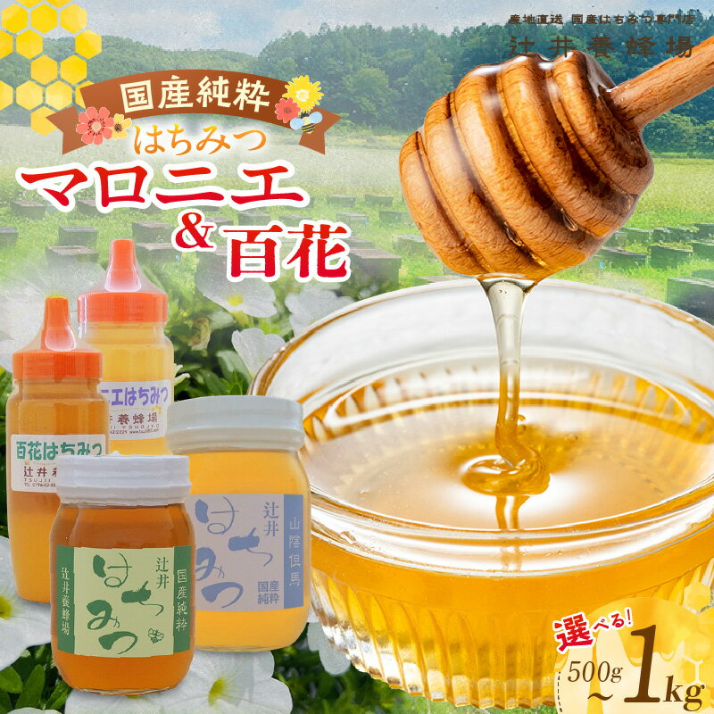【ふるさと納税】国産純粋 マロニエはちみつ 百花はちみつ【選べる内容量 計500g〜計1kg】2種類のハチミツをご堪能！ 国産 純粋 はちみつ ハチミツ 蜂蜜 百花 栃の木 食べ比べ 辻井養蜂場 国産純粋はちみつ 日本産 みつばち 兵庫県 香美町 81-03 81-06 送料無料
