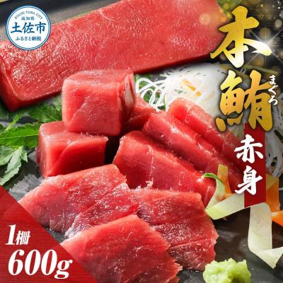 ふるさと納税 土佐市 本マグロ 赤身 柵 600g 刺身やマグロ丼に!