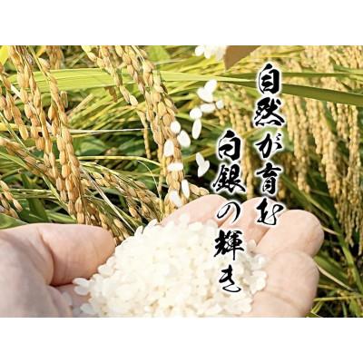 ふるさと納税 山鹿市 【先行予約】熊本県産お米10kg箱(5kg×2袋) |  | 01