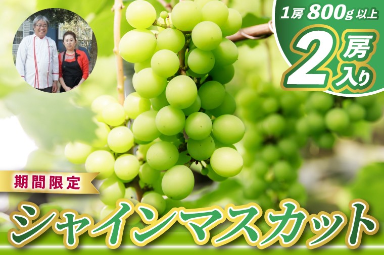 
                  レストランのプロが育てる！鹿嶋市産 シャインマスカット 2房 (大粒800g以上/房) ＜皮ごと食べられる極上ぶどう＞(KAE-15)
                