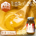 【ふるさと納税】飛騨産 生蜂蜜 トチ蜜 1200g 国産無添加 とち蜜 はちみつ ギフト ハニー 非加熱[Q1198]