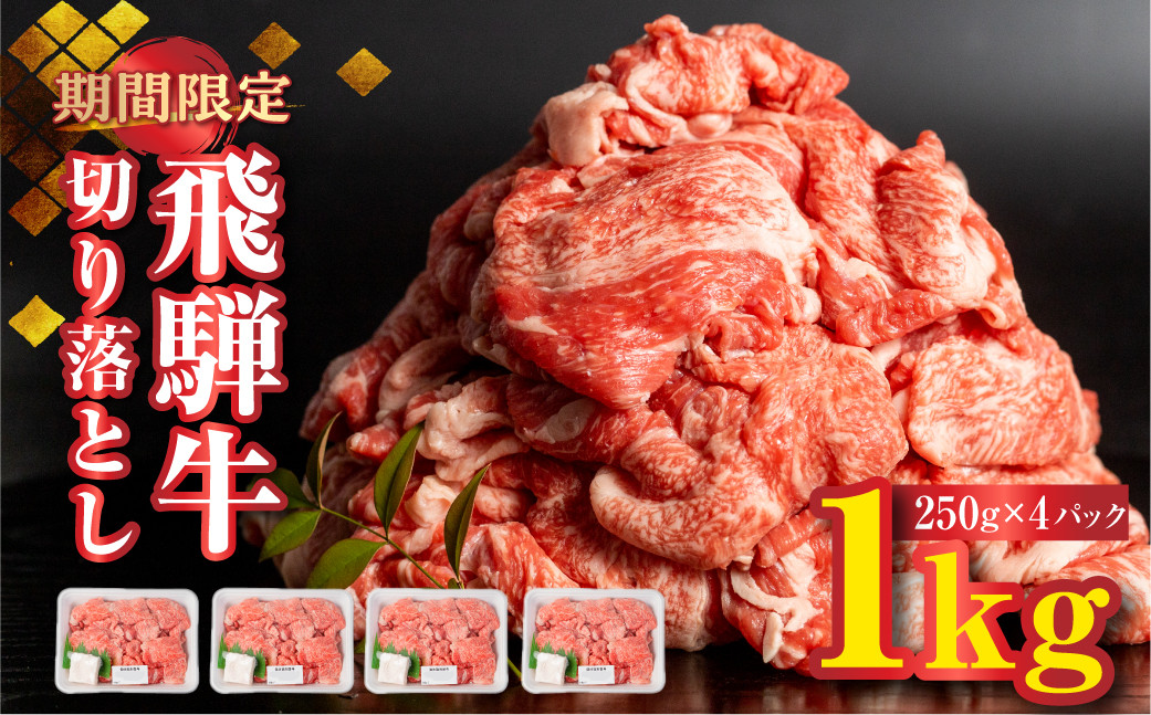 
            《年内発送》【訳あり】飛騨牛 切り落とし 250g×4 計 1kg 小分け 牛肉 肉 和牛 黒毛和牛 国産 わけあり ワケアリ 冷凍 スライス 切落し きりおとし 薄切り 牛丼 すき焼き 焼肉 カレー にも 年内配送 年内お届け 12月 飛騨市
          