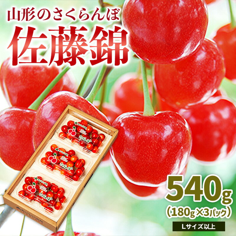 【ふるさと納税】山形のさくらんぼ 佐藤錦 540g Lサイズ以上 (180g×3パック) 【令和8年産先行予約】FS25-024