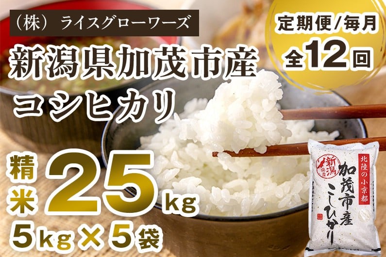 
                  【令和7年産】【定期便12ヶ月毎月お届け】新潟県加茂市産コシヒカリ 精米25kg（5kg×5）《順次出荷》白米 （株）ライスグローワーズ 定期便
                
