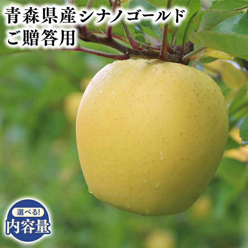【ふるさと納税】≪内容量が選べる!≫青森県産 贈答用 シナノゴールド 3kg 5kg 【青森県 平川市 そと川りんご園】2025年5～6月発送!　 贈答 青森 青森県産 平川 りんご リンゴ 林檎 くだもの 果物 フルーツ レビューキャンペーン