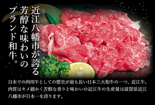 近江牛A5ランク切落し【500g】【訳あり】【DG12SM】