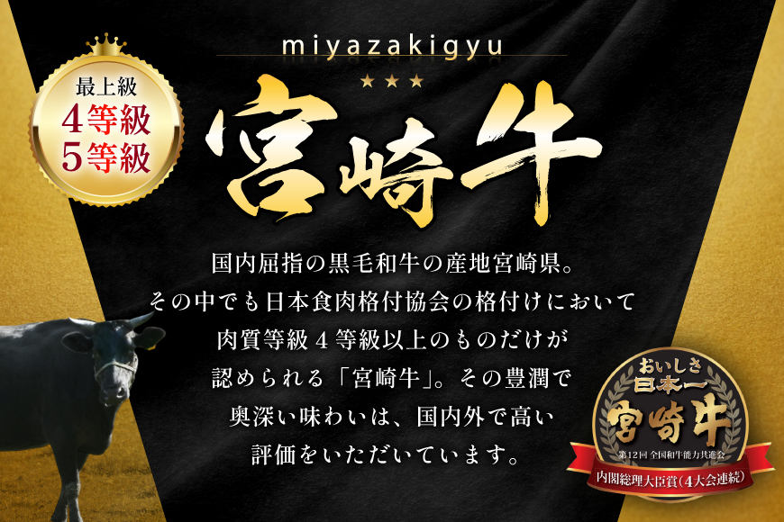 牛肉 宮崎牛 カルビ 焼肉用 500g 2p 計 1kg [ローカルブランディング 宮崎県 日向市 452061414] 冷凍 小分け 黒毛和牛 黒毛 A4 A5 焼肉 焼き肉 BBQ バーベキュー 