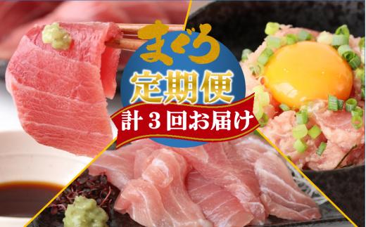 【計3回お届け】天然マグロ定期便 計1.3㎏（23-4）
