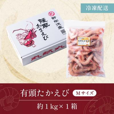ふるさと納税 南さつま市 【数量限定】鹿児島県産 天然たかえび(生食用) 約1kg [Mサイズ] |  | 02