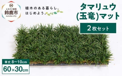 タマリュウ(玉竜)マット 2枚セット(60cm×30cm)
