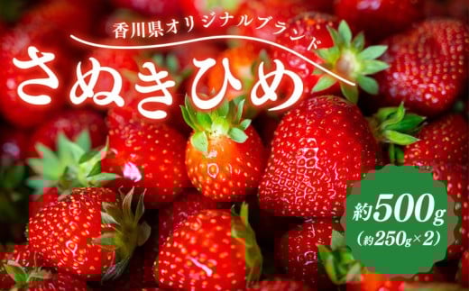 先行予約 いちご さぬきひめ 約500g (250g×2)  果物 フルーツ 苺 デザート スイーツ ケーキ ジュース ゼリー アイス シャーベット ジェラート フルーツ大福 ドライフルーツ クレープ ギフト 家庭用 旬の果物 旬 ビタミンC 美容 健康 お取り寄せ グルメ 人気 おすすめ 香川県 丸亀市