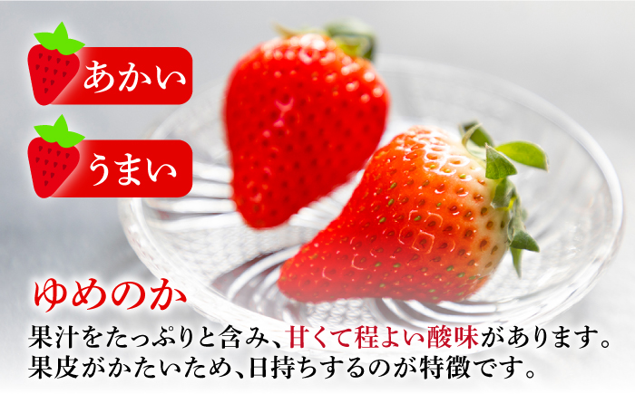 冷凍いちご 1kg 『ゆめ恋フローズンセット』《壱岐市》【蒼花】 産地直送 冷凍配送 いちご 苺 フルーツ フローズン 朝食 ゆめのか 恋みのり [JEO005]