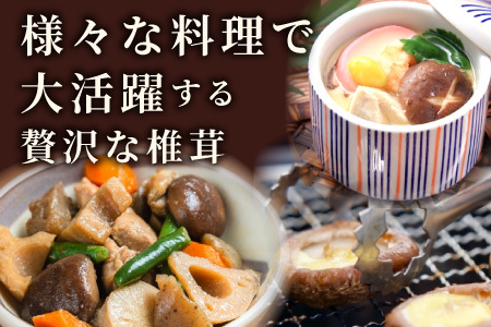 無農薬栽培 原木しいたけ！とよくに清流 ほししいたけ 200g 椎茸 シイタケ 野菜 バーベキュー 肉厚-017