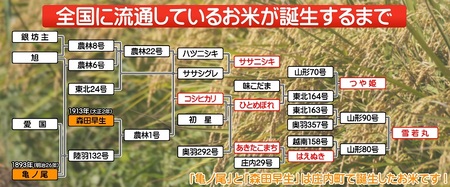 ＜6月中旬発送＞山形米6か月定期便！雪若丸5kg（入金期限：2024.5.25）