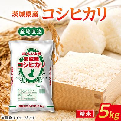 ふるさと納税 常陸大宮市 【令和8年産】コシヒカリ 5kg 精白米  茨城県産 米