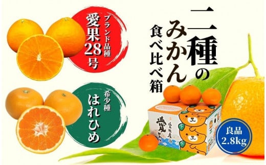 【早期予約受付中！2025年12月～順次発送】二種のみかん食べ比べ箱　愛果28号・はれひめ(良品) 約2.8kg （ 愛果28号 まどんな 柑橘 みかん 果物 くだもの フルーツ おすすめ 高級 人気 お取り寄せ グルメ ギフト 期間限定 数量限定 ご当地 愛媛県 松山市 ）