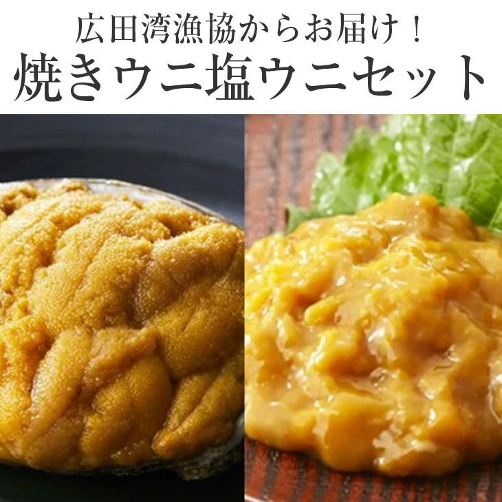 【ふるさと納税】焼きうに ＆ 塩うに 食べ比べ セット 【 ウニ 雲丹 ミョウバン不使用 無添加 濃厚 天然 海産物 海の幸 冷凍 人気 産地直送 旬 ギフト プレゼント 贈り物 贈答品 お祝い 年末年始 おせち おすすめ お取り寄せ リピート 三陸産 広田 岩手県 陸前高田市 】