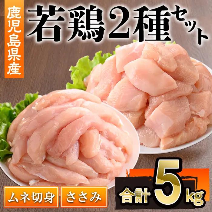 鹿児島県産若鶏ささみ・ムネセット(合計5kg・各250g×10P)若鶏 切身 冷凍【株式会社羽根】 A1101