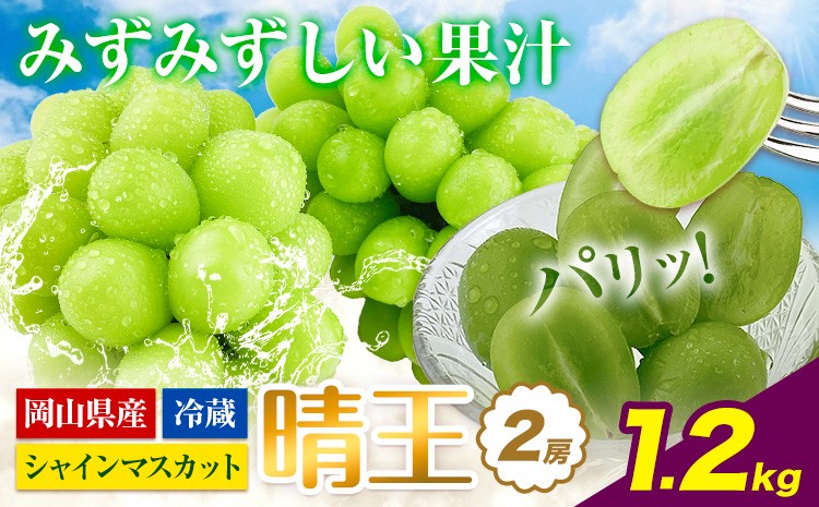 
                  【2026年先行予約】シャインマスカット 岡山県産 シャインマスカット 晴王 2房 約1.2kg《2026年9月上旬-10月末頃出荷》 ハレノフルーツ マスカット 送料無料 岡山県 浅口市 フルーツ 果物 贈り物 ギフト 国産 岡山県産 くだもの 青果物【配送不可地域あり】
                