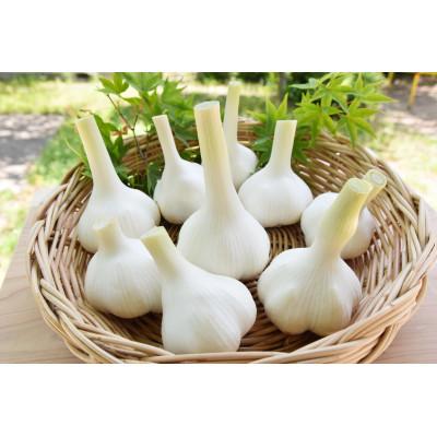 ふるさと納税 五木村 【五木産】ホワイト六片にんにく農家の手づくり　ガーリックオイル 200ml×3本 |  | 02