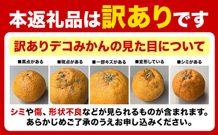 不知火 デコみかん ( デコポン と同品種 ) ご家庭用 訳あり 熊本県産 ( 苓北町産含む )約1.2kg(3-6玉前後) 柑橘 《2026年2月上旬-3月末頃出荷》 みかん フルーツ 不知火 訳ア