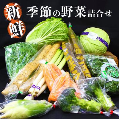 ふるさと納税 東松島市 新鮮 季節の野菜 おまかせ詰め合わせセット 宮城県 東松島市 野菜 産直