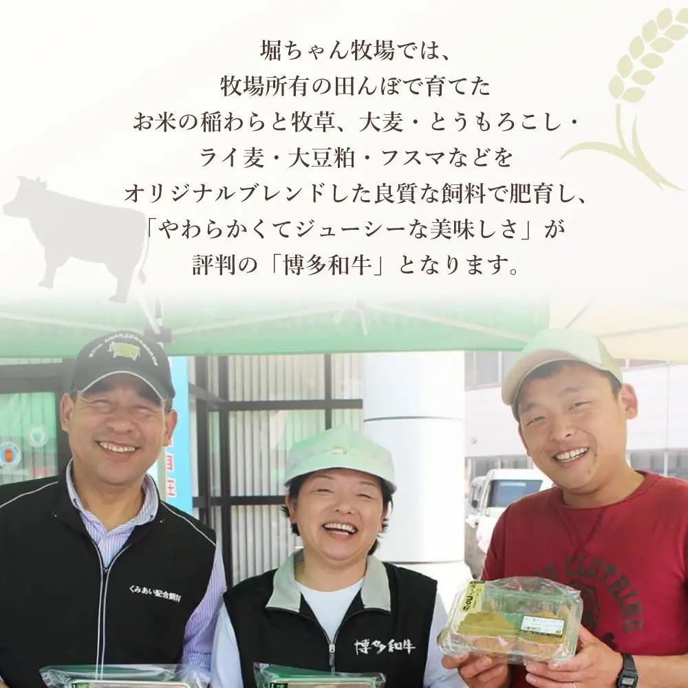 博多和牛　サーロインステーキ2枚入り