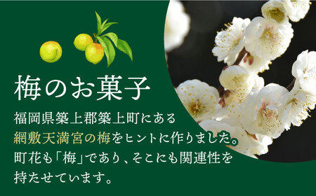 【老舗の菓子屋 鹿の子】築上銘菓「 梅の実 」15個《築上町》【有限会社　御菓子司　鹿の子】 [ABAC004] 和菓子おすすめ 人気和菓子 こだわり和菓子 自宅用和菓子 和菓子お取り寄せ 和菓子ギフ
