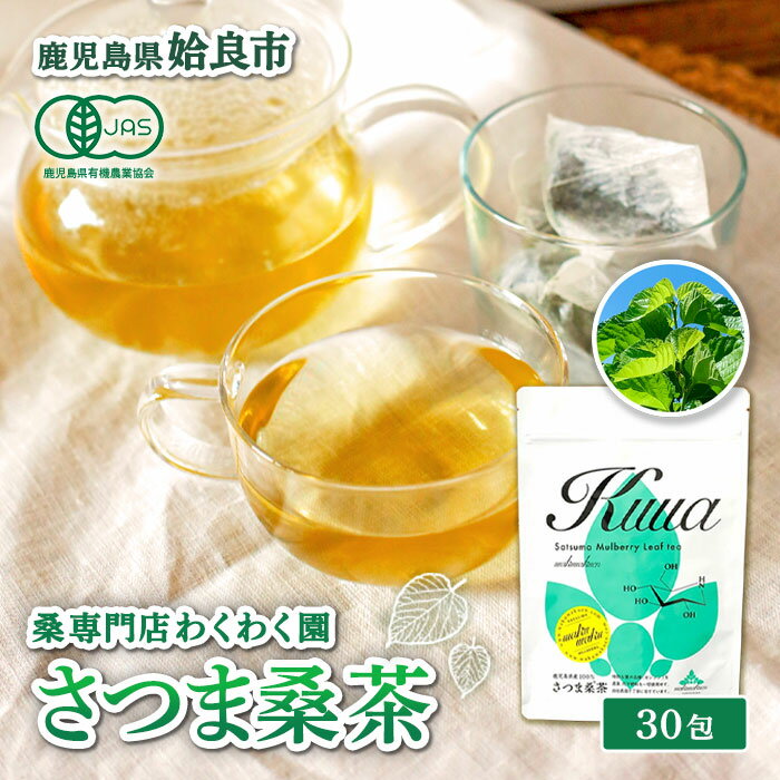 【ふるさと納税】さつま桑茶 (30包) 桑の葉 桑茶 国産 無農薬 健康茶 ハーブ マルベリー ノンカフェイン【わくわく園】