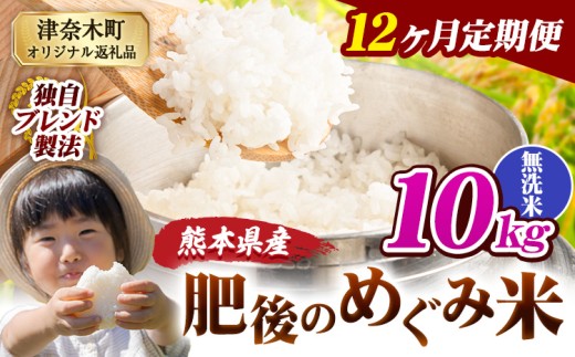 【12ヶ月定期便】無洗米 熊本県産 ブレンド米 肥後のめぐみ米 10kg 熊本県産 ふるさと納税 精米 米 こめ ふるさとのうぜい コメ お米 おこめ《お申込み翌月から出荷》