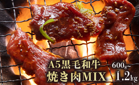 
A5 黒毛和牛 焼肉用MIX 600g 1.2kg 25,000～50,000円 150g小分けパック 冷凍 自家製 旨辛タレ 味付け肉 揉み込み 牛肉 焼き肉 モモ カルビ ロース ミックス 熨斗 ギフト 御歳暮 お歳暮 プレゼント 贈答 熨斗 御中元 お中元 夏ギフト
